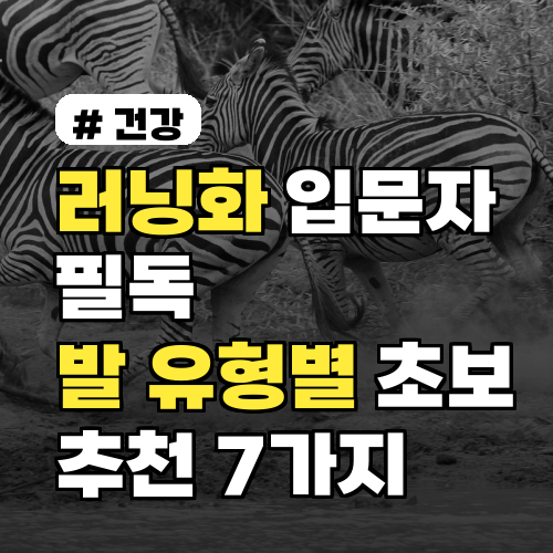 러닝화 입문자 필독: 발 유형별 초보 추천 7가지 모델 2026년 기준