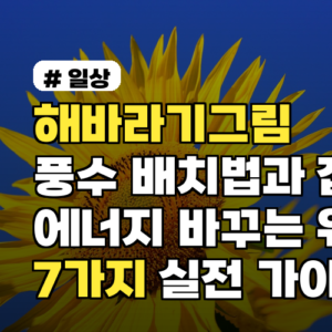 해바라기그림 풍수 배치법과 집안 에너지 바꾸는 위치 7가지 실전 가이드