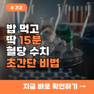 밥 먹고 딱 15분, 식후혈당 수치 놀랍게 떨어뜨리는 초간단 비법