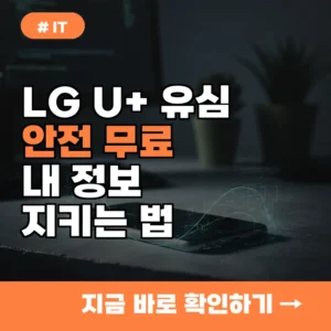 LG U+ 유심, 개인정보 유출 막으려면 당장 교체하세요! (무료)