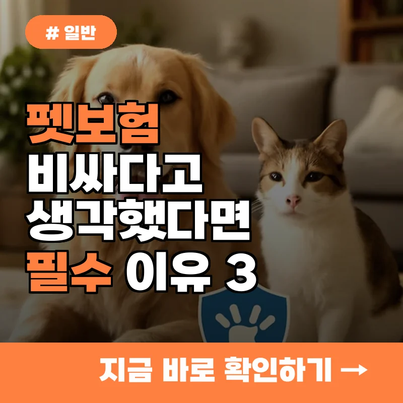 펫보험 비싸다고 망설였다면? 오히려 돈 아끼는 가입 필수 이유 3가지