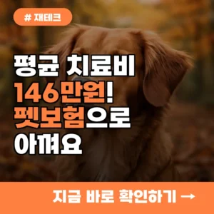 평균 치료비 146만 원! 펫보험으로 반려견 병원비 아끼는 법
