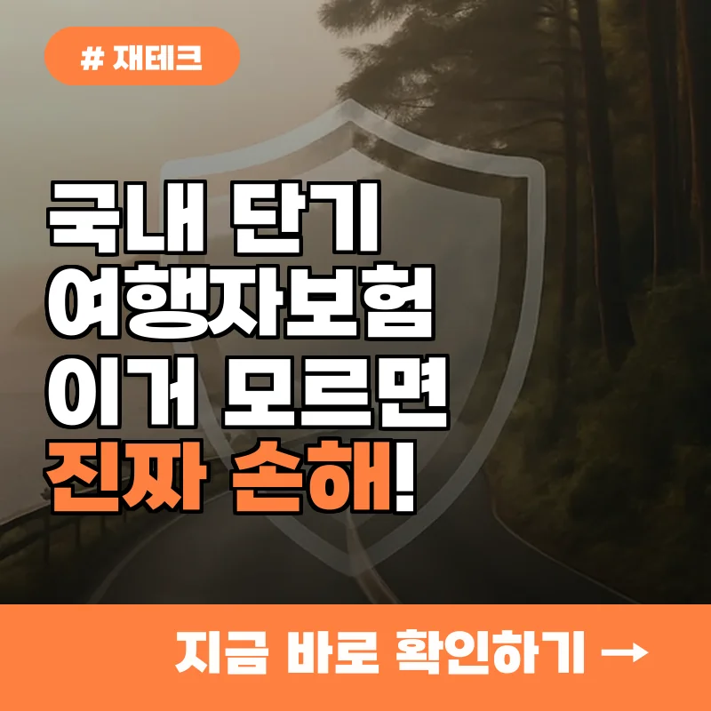 국내 단기여행자보험, 이거 모르면 손해! 보장 범위 5가지 비교