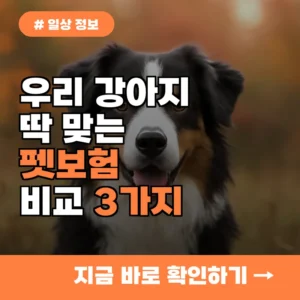 우리 강아지에게 딱 맞는 보험? 펫보험 비교 시 고려할 3가지