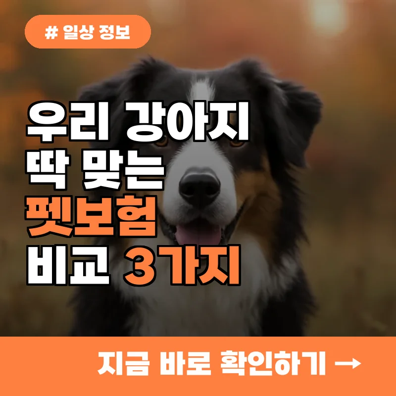 우리 강아지에게 딱 맞는 보험? 펫보험 비교 시 고려할 3가지
