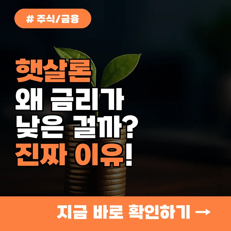 서민금융진흥원 햇살론, 시중 은행보다 금리 최대 5% 낮은 진짜 이유
