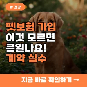 펫보험 가입 전 꼭 확인하세요! 10명 중 9명이 놓치는 계약 실수