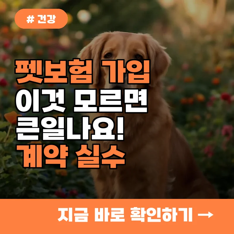 펫보험 가입 전 꼭 확인하세요! 10명 중 9명이 놓치는 계약 실수