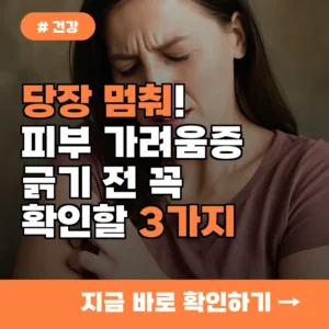 당장 멈춰! 피부 가려움증, 긁기 전 꼭 확인해야 할 3가지