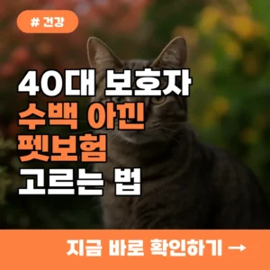 40대 보호자 “덕분에 수백 아꼈어요”…펫보험 똑똑하게 고르는 법