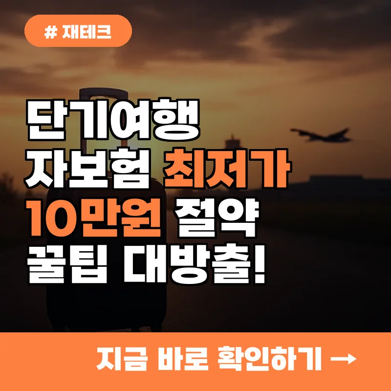 단기여행자보험, 1인당 최대 10만 원 절약? 최저가 찾는 꿀팁