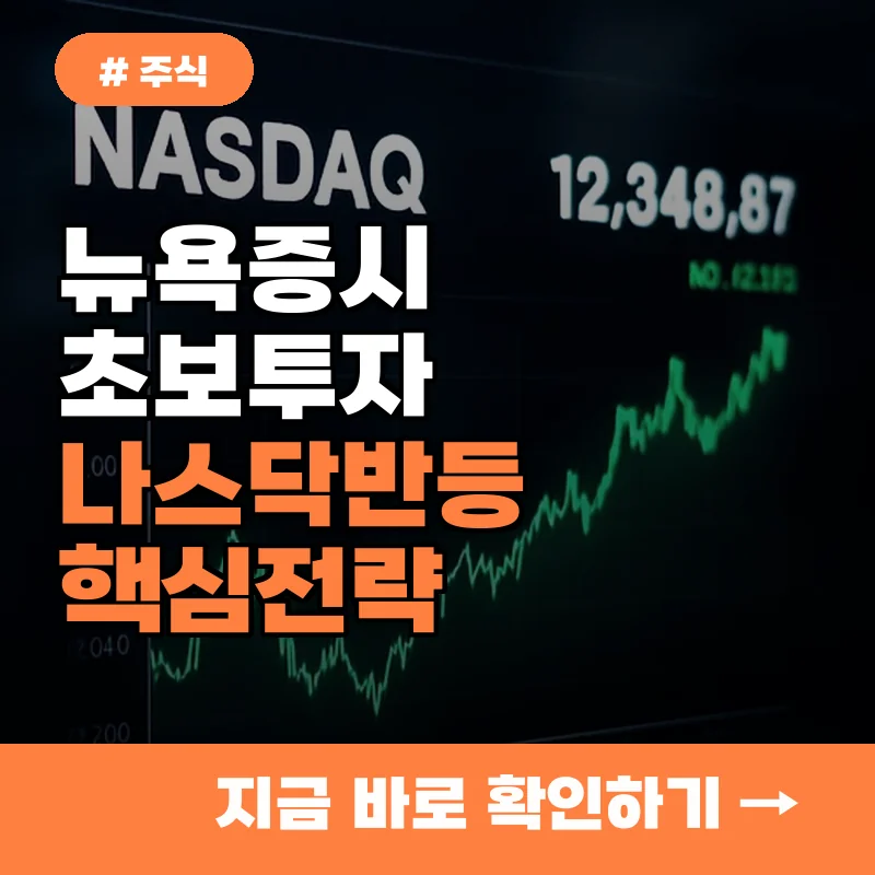 뉴욕증시 초보 투자자라면? 나스닥 반등 후 핵심 전략 4가지