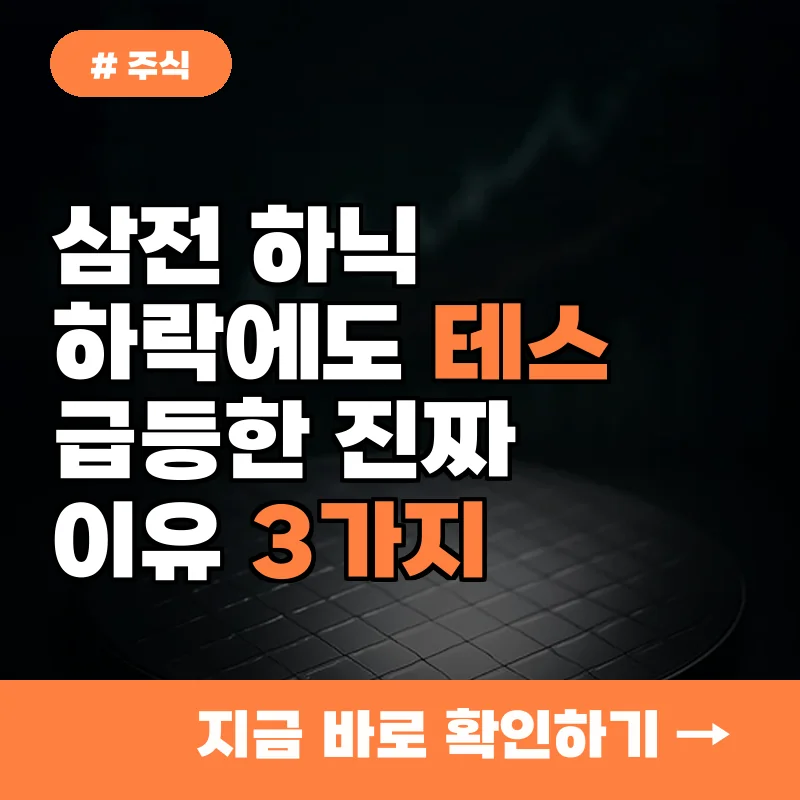 삼전 하닉 하락에도 테스가 급등한 진짜 이유? 반도체 시장의 숨겨진 흐름 3가지