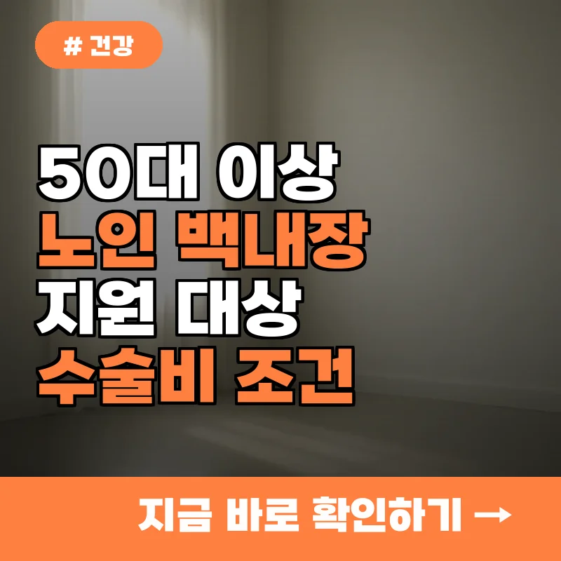 50대 이상 노인 백내장, 혹시 나도 지원 대상? 2026년 어르신 수술비 조건