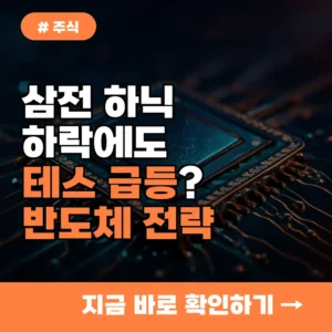 삼전 하닉 하락에 테스 갈아탈까? 2026년 개인 투자자가 주목할 반도체 전략