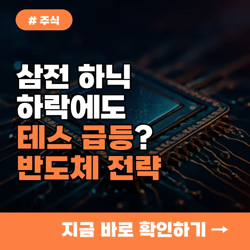 삼전 하닉 하락에 테스 갈아탈까? 2026년 개인 투자자가 주목할 반도체 전략