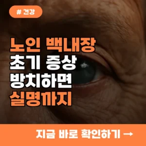 노인 백내장 초기 증상, 방치하면 실명까지? 놓치면 안 될 위험 신호 3가지