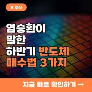 하반기 주식으로 돈 벌 투자자라면? 염승환이 말한 반도체 매수법 3가지