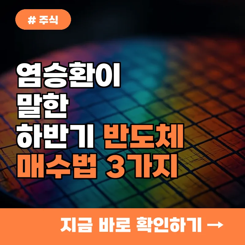하반기 주식으로 돈 벌 투자자라면? 염승환이 말한 반도체 매수법 3가지