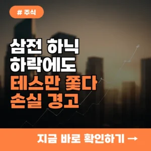 삼전 하닉 하락에도 테스만 쫓다가는 손실? 지금 주식 투자자가 놓치는 3가지 경고