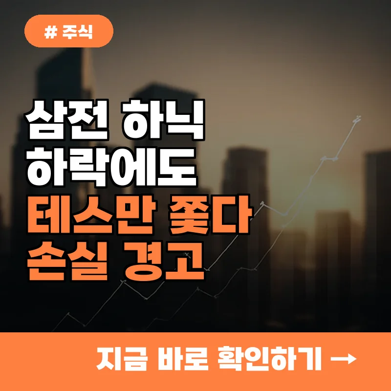 삼전 하닉 하락에도 테스만 쫓다가는 손실? 지금 주식 투자자가 놓치는 3가지 경고