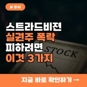 주식 실권주 발생, 스트라드비젼처럼 폭락 피하려면 ‘이것’ 경고 신호 3가지
