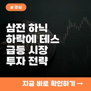 삼전 하닉 하락에 테스 급등! 이런 시장에서 꼭 알아야 할 투자 전략 3가지