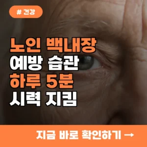 노인 백내장 예방? 시력 지키는 하루 5분 습관 3가지