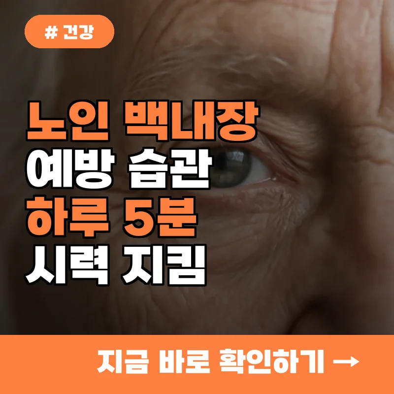 노인 백내장 예방? 시력 지키는 하루 5분 습관 3가지
