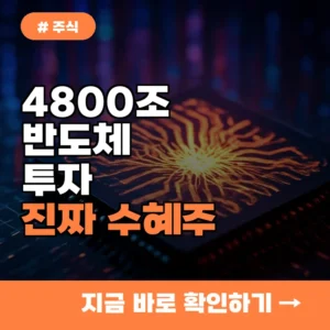 4800조 반도체 투자, 단순 테마주 아닌 ‘진짜’ 수혜주는 따로 있다?