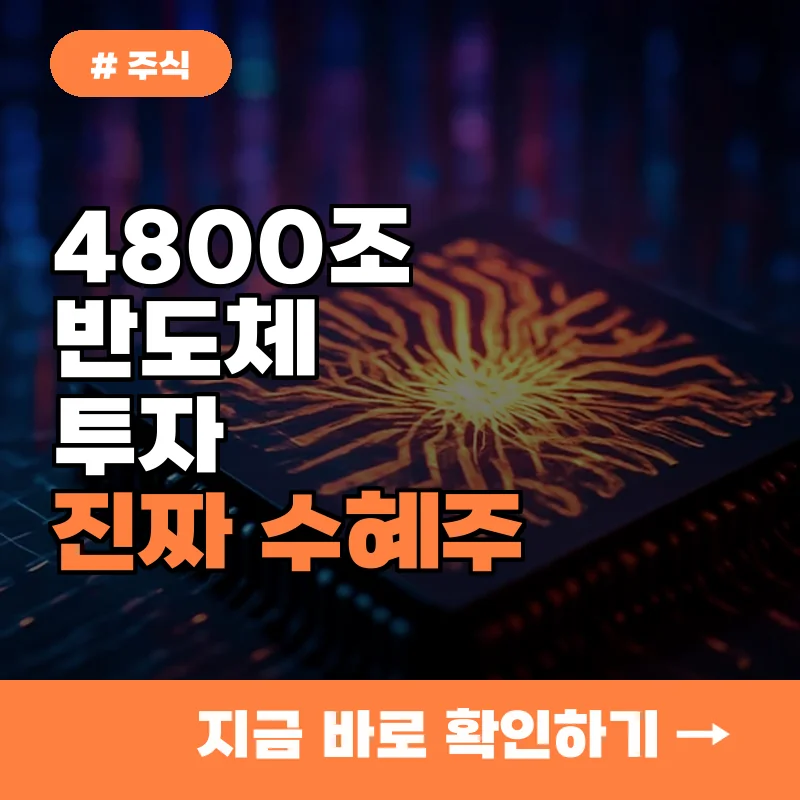 4800조 반도체 투자, 단순 테마주 아닌 '진짜' 수혜주는 따로 있다?
