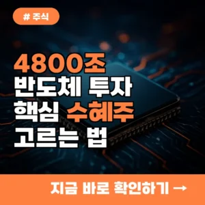 초보 투자자라면 주목! 4800조 반도체 투자, 핵심 수혜주 고르는 법