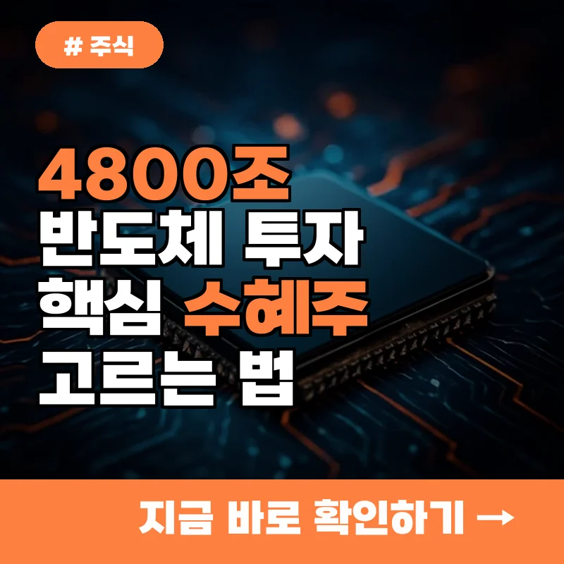 초보 투자자라면 주목! 4800조 반도체 투자, 핵심 수혜주 고르는 법