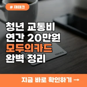 1인당 연간 20만 원 절약! 39세 청년이 꼭 챙겨야 할 모두의카드 혜택