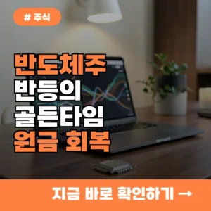 40대 투자자 “반도체주 덕분에 원금 회복했어요”…실제 대응 전략