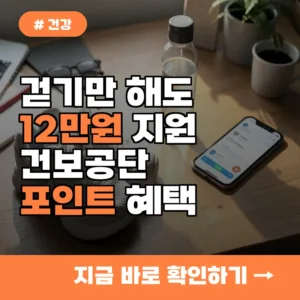 12만원 지원받는 법! 걷기만 해도 건강보험공단 포인트 쌓이는 혜택 총정리