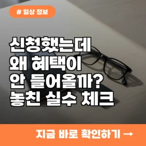 열심히 신청했는데 왜 안 되지? 모두의카드 청년 혜택 놓치는 의외의 실수