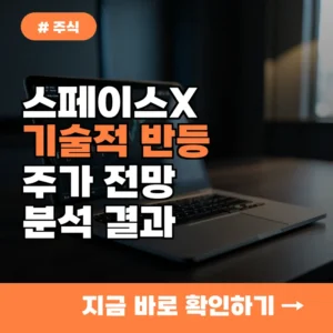 반토막 났던 스페이스X 주가, 기술적 반등이 20% 상승 견인할 수 있을까?