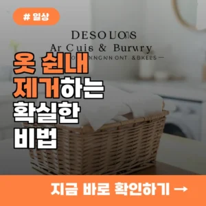 40대 주부가 말하는 옷 쉰내 제거 비법…섬유유연제 대신 ‘이것’ 넣으세요