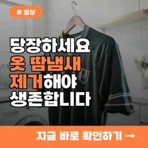 당장 세탁하세요! 옷 땀냄새 제거 안 하면 생기는 충격적인 사실