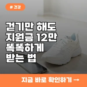 내 걸음이 돈이 된다? 걷기 지원금 12만원 받는 건강생활실천지원금 3단계