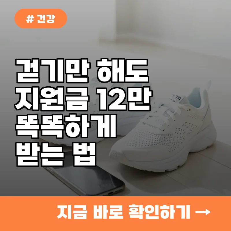 내 걸음이 돈이 된다? 걷기 지원금 12만원 받는 건강생활실천지원금 3단계