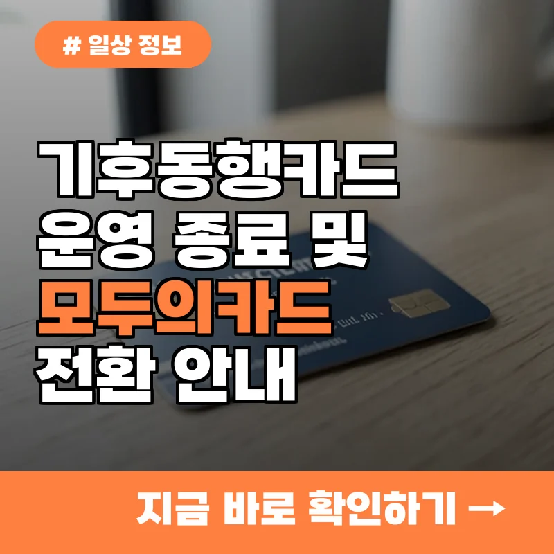 기후동행카드 종료? 9월부터 모두의카드로 갈아타야 하는 이유 3가지