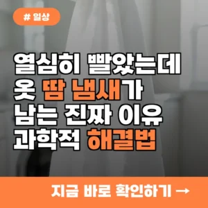 열심히 빨았는데 왜? 옷 땀냄새 제거 안 되는 뜻밖의 진짜 이유