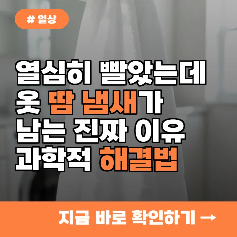 열심히 빨았는데 왜? 옷 땀냄새 제거 안 되는 뜻밖의 진짜 이유
