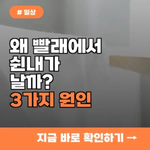 열심히 빨았는데 왜 냄새날까? 빨래 쉰내 나는 3가지 이유