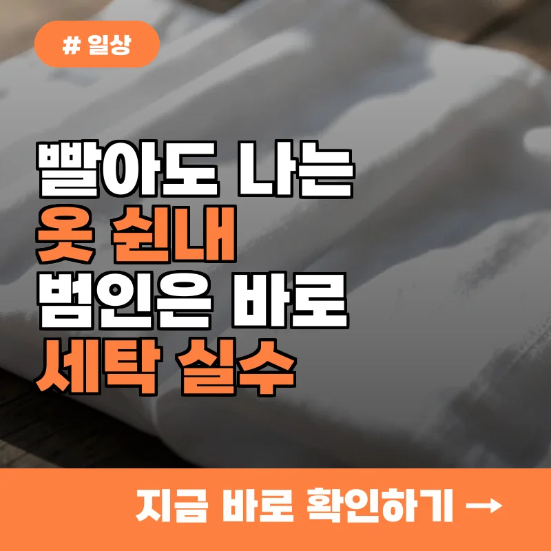 빨아도 옷 쉰내 나는 이유? 10명 중 8명이 모르는 세탁 실수 3가지