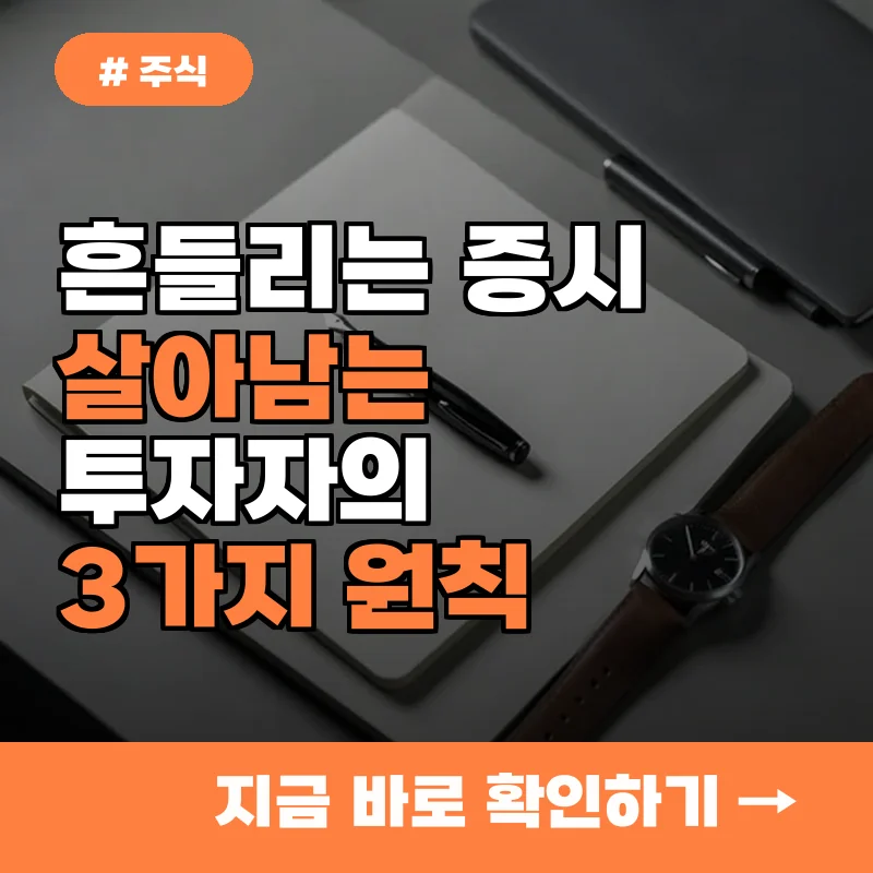 변동성 심한 요즘 증시, 살아남는 투자자가 챙기는 3가지 원칙