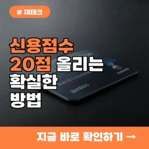 NICEKCB 신용점수 조회, 지금 바로 20점 올리는 확실한 방법