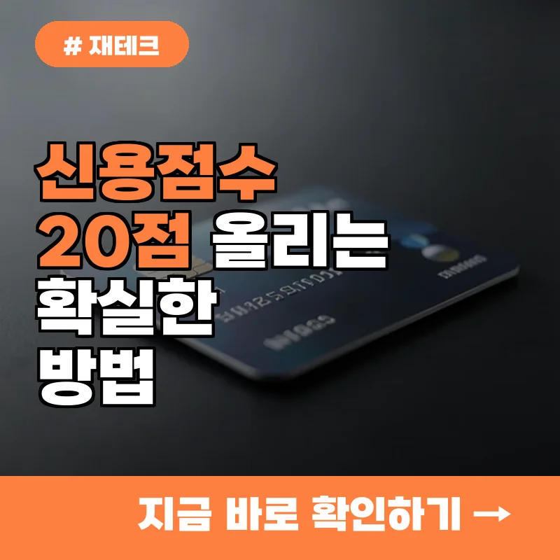 NICEKCB 신용점수 조회, 지금 바로 20점 올리는 확실한 방법